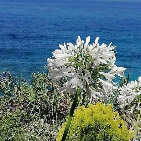 Ikaria Village-ground Floor No 4 * Klorakas