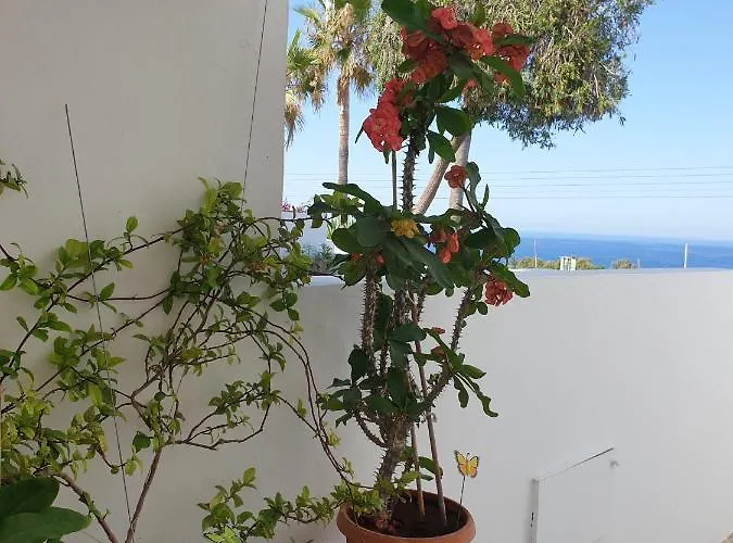 Ikaria Village-ground Floor No 4 Apartamento
