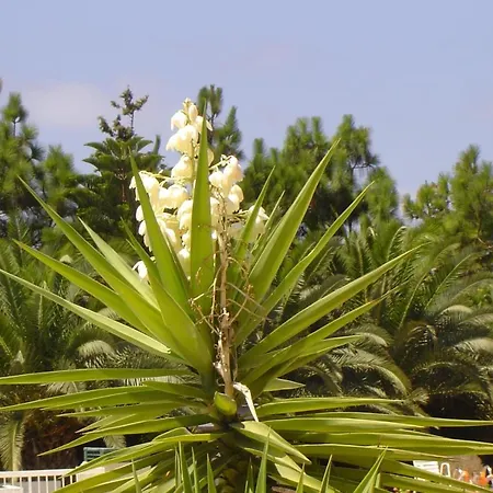 Ikaria Village-ground Floor No 4 Klorakas