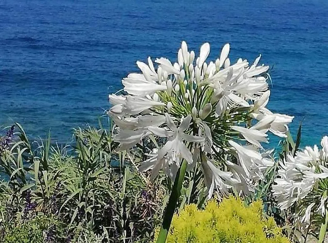 Ikaria Village-ground Floor No 4 * Klorakas