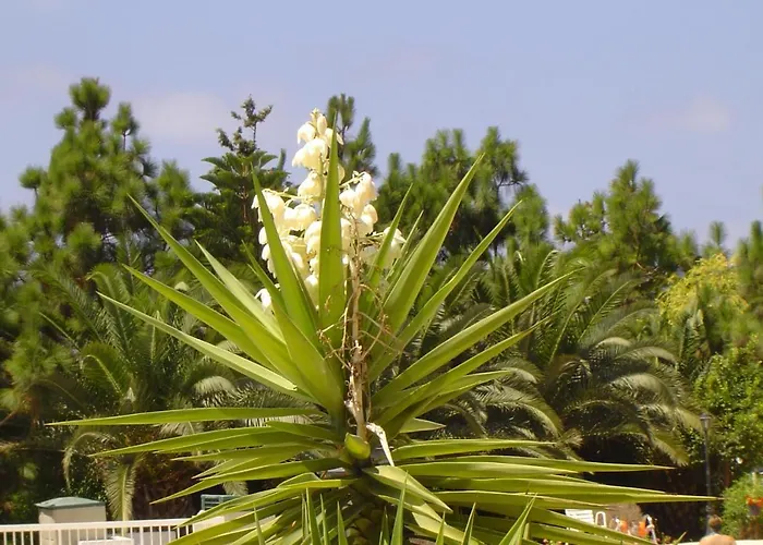 Ikaria Village-ground Floor No 4 Klorakas